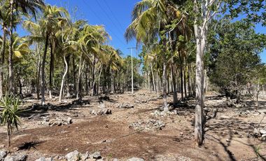 Rancho en Venta en Campeche Koben