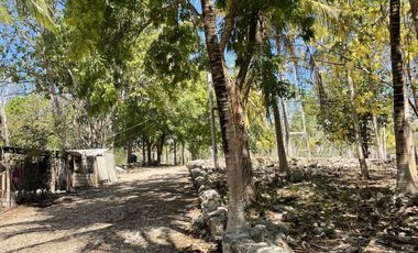 Rancho en Venta en Campeche Koben