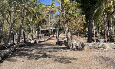 Rancho en Venta en Campeche Koben