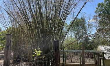 Rancho en Venta en Campeche Koben