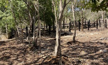 Rancho en Venta en Campeche Koben