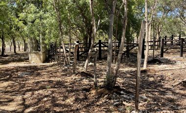 Rancho en Venta en Campeche Koben