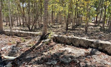 Rancho en Venta en Campeche Koben