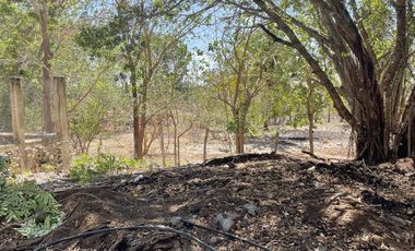 Rancho en Venta en Campeche Koben