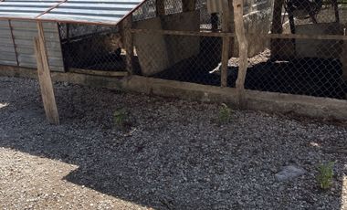 Rancho en Venta en Campeche Koben