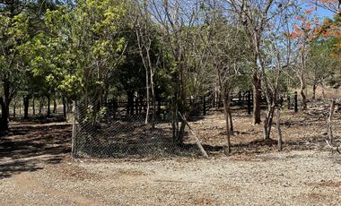 Rancho en Venta en Campeche Koben