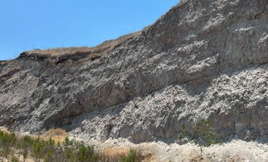 Terreno en venta en Jardines de Agua Caliente.Cerca de Hipódromo, 5 y 10, Brisas