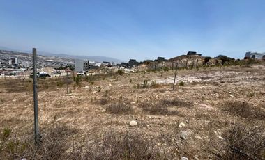 Terreno en venta en Jardines de Agua Caliente.Cerca de Hipódromo, 5 y 10, Brisas