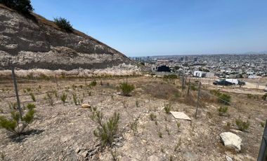 Terreno en venta en Jardines de Agua Caliente.Cerca de Hipódromo, 5 y 10, Brisas
