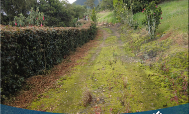 En Venta Casa Campestre Tabio Río Frío Occidental