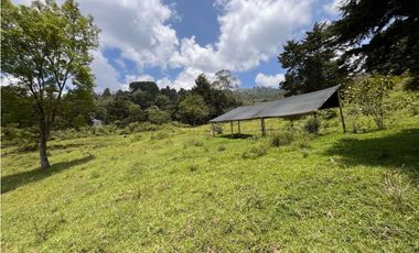 LOTE EN VENTA EN MEDELLN SECTOR LOS BALSOS INDEPENDIENTE CON VISTA