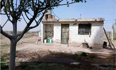VENTA DE FINCA 50 HAS EN EL MARCADO- SANTA ROSA