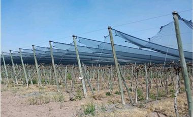 VENTA DE FINCA 50 HAS EN EL MARCADO- SANTA ROSA