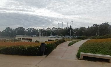 Departamento en venta en ALGARROBO