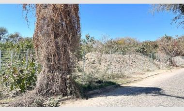 Terreno comercial en venta en Chapala Centro
