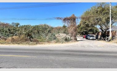 Terreno comercial en venta en Chapala Centro