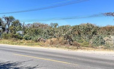 Terreno comercial en venta en Chapala Centro