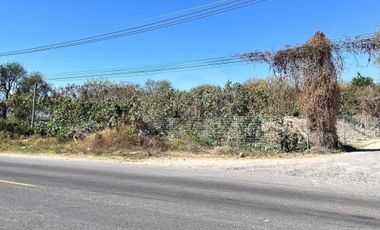 Terreno comercial en venta en Chapala Centro