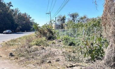 Terreno comercial en venta en Chapala Centro
