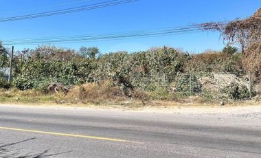 Terreno comercial en venta en Chapala Centro