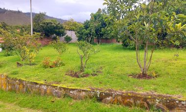 TERRENO EN VENTA PATATE