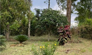 SE ALQUILA FINCA CIRCASIA - MONTENEGRO
