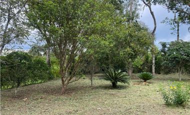 SE ALQUILA FINCA CIRCASIA - MONTENEGRO