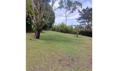 casa campestre, vía Rionegro a san vicente Ferrer, 10.000 m2