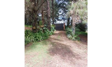 casa campestre, vía Rionegro a san vicente Ferrer, 10.000 m2