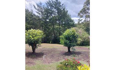 casa campestre, vía Rionegro a san vicente Ferrer, 10.000 m2