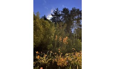 casa campestre el Retiro , sector Fizebad- salados