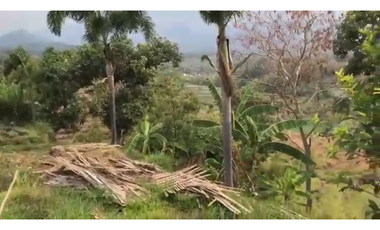 Pacet mojokerto jl kemiri cck untuk wisata