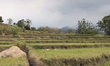 Pacet mojokerto jl kemiri cck untuk wisata