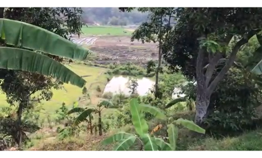 Pacet mojokerto jl kemiri cck untuk wisata