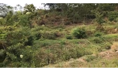 Pacet mojokerto jl kemiri cck untuk wisata