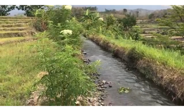 Pacet mojokerto jl kemiri cck untuk wisata