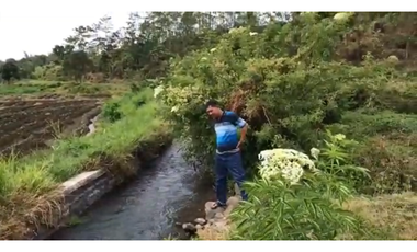 Pacet mojokerto jl kemiri cck untuk wisata