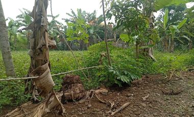 Jual beli tanah murah di purbalingga, yang aman