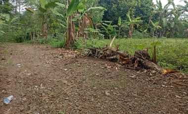 Jual beli tanah murah di purbalingga, yang aman