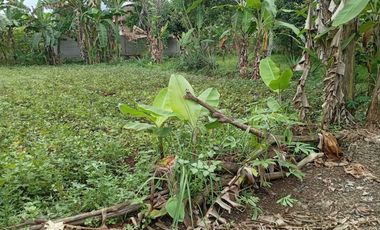 Jual beli tanah murah di purbalingga, yang aman