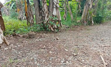 Jual beli tanah murah di purbalingga, yang aman