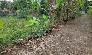 Jual beli tanah murah di purbalingga, yang aman