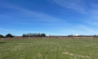 Parcela en venta en OSORNO