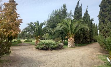 Parcela en venta en ISLA DE MAIPO