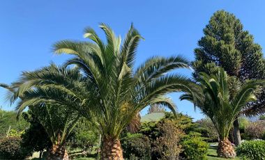 Parcela en venta en ISLA DE MAIPO