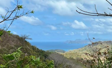 Tanah murah dekat pantai Tampah dan Selong belanak lombok