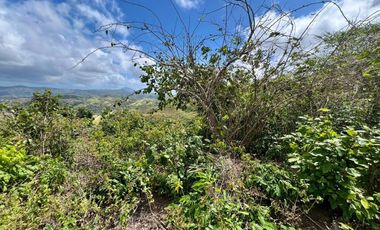 Tanah murah dekat pantai Tampah dan Selong belanak lombok