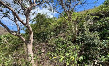 Tanah murah dekat pantai Tampah dan Selong belanak lombok