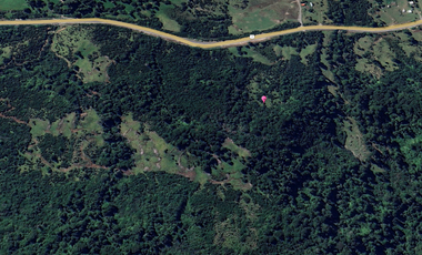 VIVE LA INMENSIDAD DE EL YUNGUE, 253 HA PATAGONIA