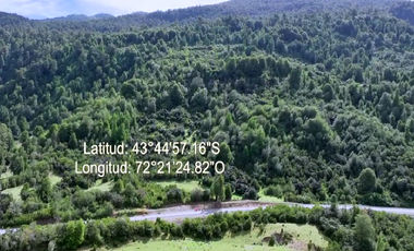VIVE LA INMENSIDAD DE EL YUNGUE, 253 HA PATAGONIA